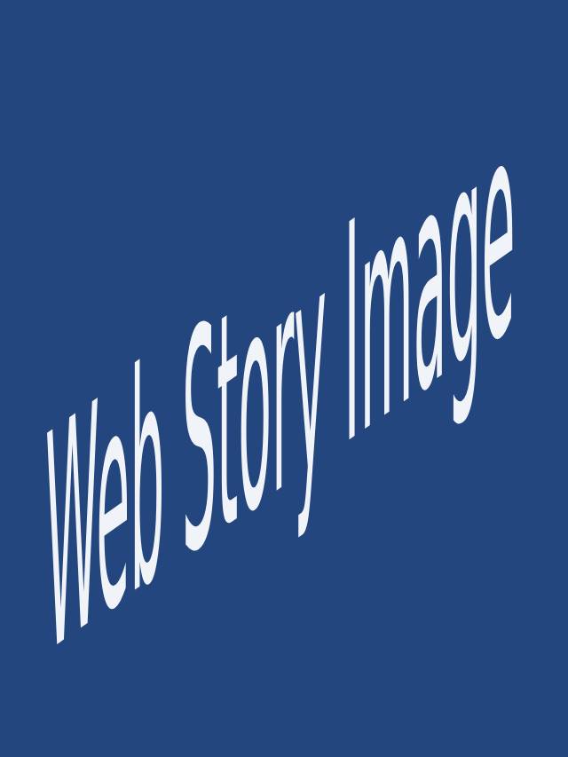 Web Story