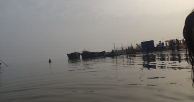 विद्यानंद: एक दर्द के प्रतिबिंब