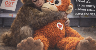 वायरल की भीड़ में खोती संवेदनाएँ